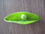 pea
