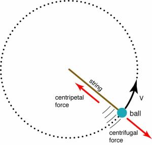 centrifugal