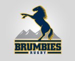Brumbies-logo